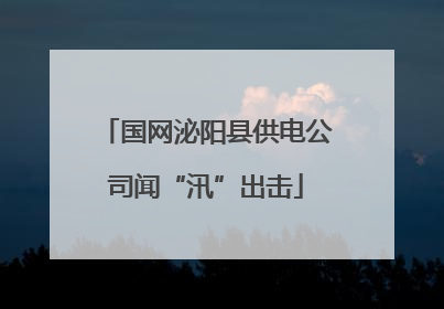 国网泌阳县供电公司闻“汛”出击