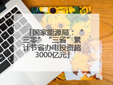 国家能源局：“三零”“三省”累计节省办电投资超3000亿元