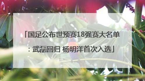 国足公布世预赛18强赛大名单：武磊回归 杨明洋首次入选