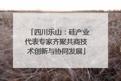四川乐山：硅产业代表专家齐聚共商技术创新与协同发展