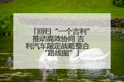 回归“一个吉利” 推动高效协同 吉利汽车敲定战略整合“路线图”