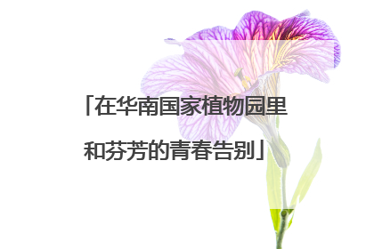 在华南国家植物园里和芬芳的青春告别