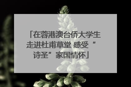 在蓉港澳台侨大学生走进杜甫草堂 感受“诗圣”家国情怀
