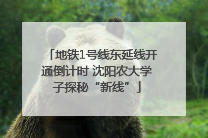 地铁1号线东延线开通倒计时 沈阳农大学子探秘“新线”