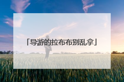 导游的拉布布别乱拿
