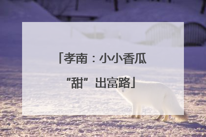 孝南：小小香瓜 “甜”出富路