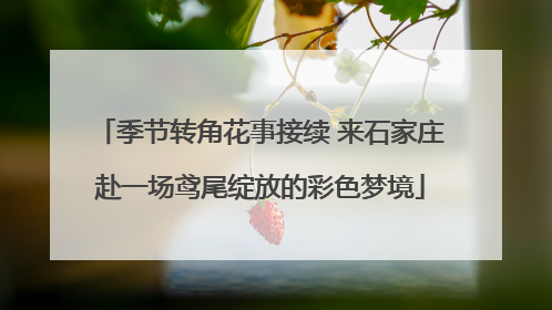 季节转角花事接续 来石家庄赴一场鸢尾绽放的彩色梦境