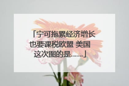 宁可拖累经济增长也要课税欧盟 美国这次图的是……