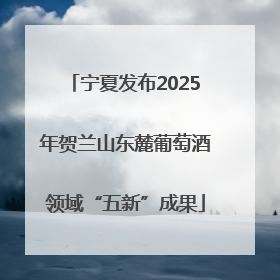 宁夏发布2025年贺兰山东麓葡萄酒领域“五新”成果