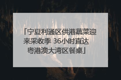 宁夏利通区供港蔬菜迎来采收季 36小时直达粤港澳大湾区餐桌