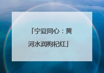 宁夏同心：黄河水润枸杞红