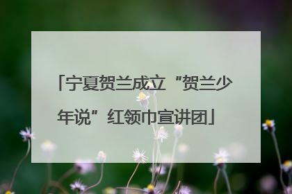 宁夏贺兰成立“贺兰少年说”红领巾宣讲团