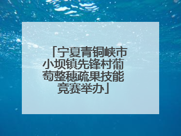 宁夏青铜峡市小坝镇先锋村葡萄整穗疏果技能竞赛举办