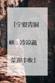 宁夏青铜峡：冷凉蔬菜迎丰收
