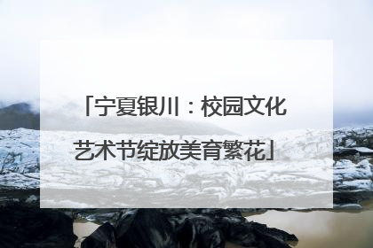 宁夏银川：校园文化艺术节绽放美育繁花