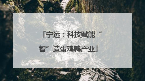 宁远：科技赋能“智”造蛋鸡鸭产业