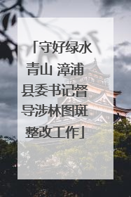 守好绿水青山 漳浦县委书记督导涉林图斑整改工作