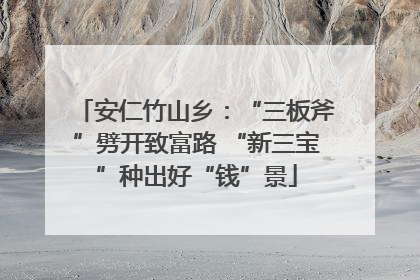安仁竹山乡：“三板斧”劈开致富路 “新三宝”种出好“钱”景