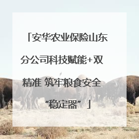 安华农业保险山东分公司科技赋能+双精准 筑牢粮食安全“稳定器”