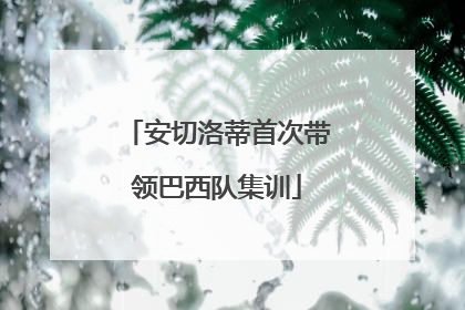 安切洛蒂首次带领巴西队集训