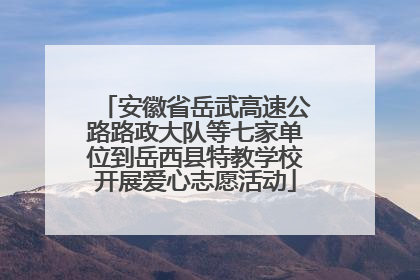 安徽省岳武高速公路路政大队等七家单位到岳西县特教学校开展爱心志愿活动
