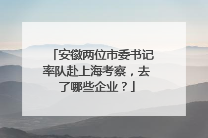 安徽两位市委书记率队赴上海考察，去了哪些企业？