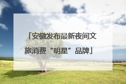 安徽发布最新夜间文旅消费“明星”品牌
