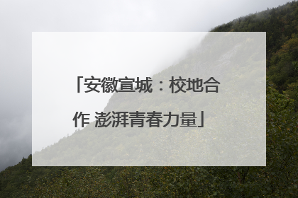 安徽宣城：校地合作 澎湃青春力量