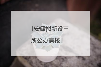 安徽拟新设三所公办高校