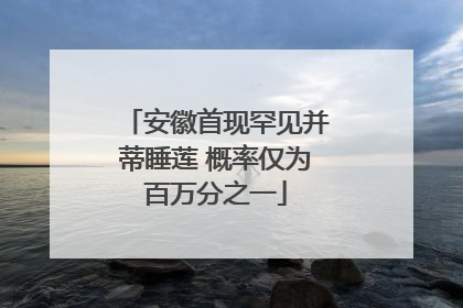 安徽首现罕见并蒂睡莲 概率仅为百万分之一