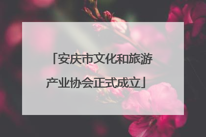 安庆市文化和旅游产业协会正式成立