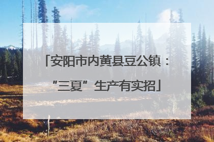 安阳市内黄县豆公镇：“三夏”生产有实招