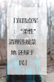 宜昌点军：“柔性”清理违规菜地 还绿于民