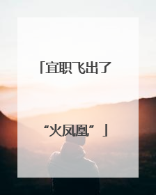 宜职飞出了“火凤凰”