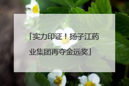实力印证！扬子江药业集团再夺金远奖