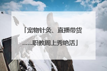 宠物针灸、直播带货……职教周上秀绝活