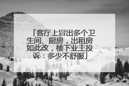 客厅上冒出多个卫生间、厨房，出租房如此改，楼下业主投诉：多少不舒服