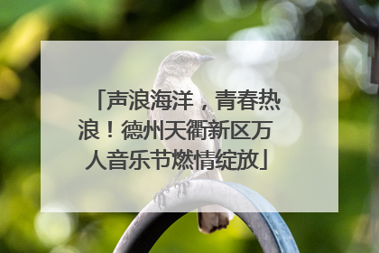 声浪海洋，青春热浪！德州天衢新区万人音乐节燃情绽放