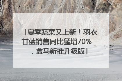 夏季蔬菜又上新！羽衣甘蓝销售同比猛增70%，盒马新推升级版