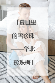 夏日里的雪珍珠——华北珍珠梅