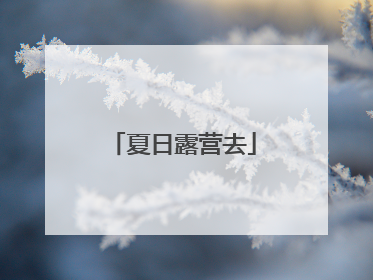 夏日露营去