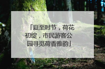 夏至时节，荷花初绽，市民游客公园寻觅荷香雅韵