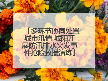 多环节协同处置城市汛情 城阳开展防汛排水突发事件抢险救援演练
