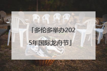 多伦多举办2025年国际龙舟节