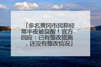 多名黄冈市民称经常半夜被臭醒！官方回应：已有整改措施，还没有整改情况