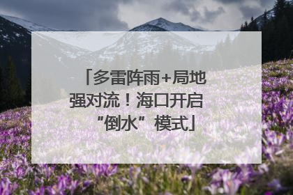 多雷阵雨+局地强对流！海口开启“倒水”模式