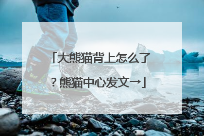 大熊猫背上怎么了？熊猫中心发文→