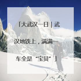 大武汉一日｜武汉地铁上，满满一车全是“宝贝”