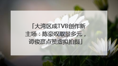 大湾区成TVB创作新主场：陈豪叹取景多元，谭俊彦点赞虚拟拍摄
