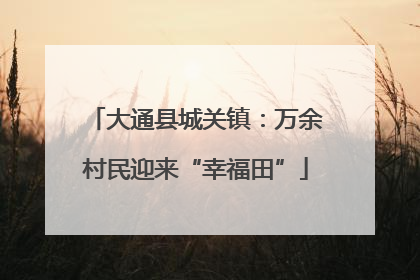 大通县城关镇：万余村民迎来“幸福田”
